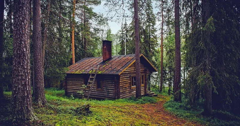 Cabane en kit ou location : quelle option pour une famille ?